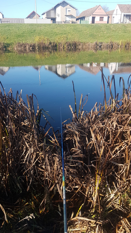 IMG-419f7c3ac1b37f6584fac6aa8882338a-V