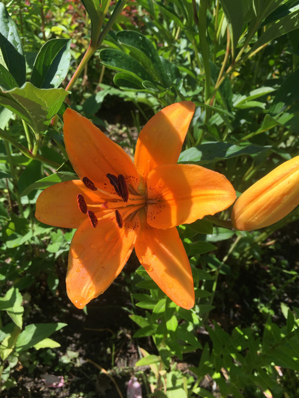 0BCE0D14-9DC6-4D27-8660-36C4EAC1B408