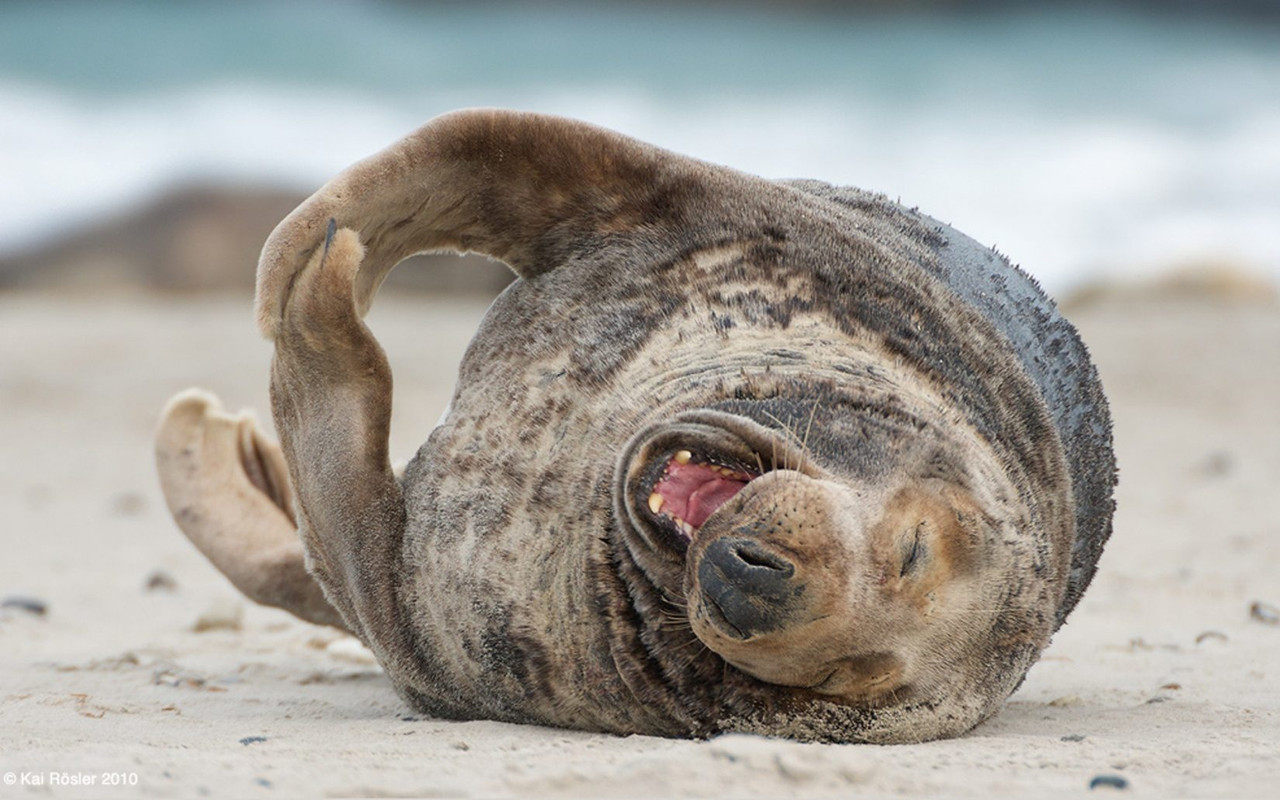 загружено (3)