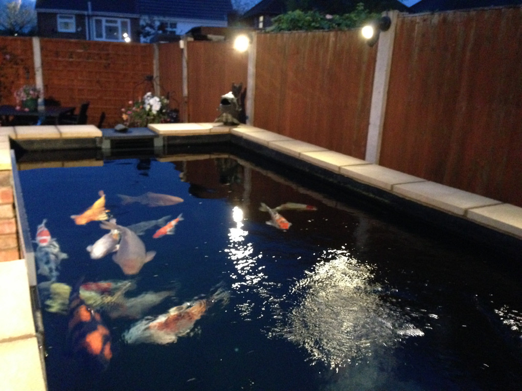 BCCDA109-CC8F-447E-839D-342E0975B81B