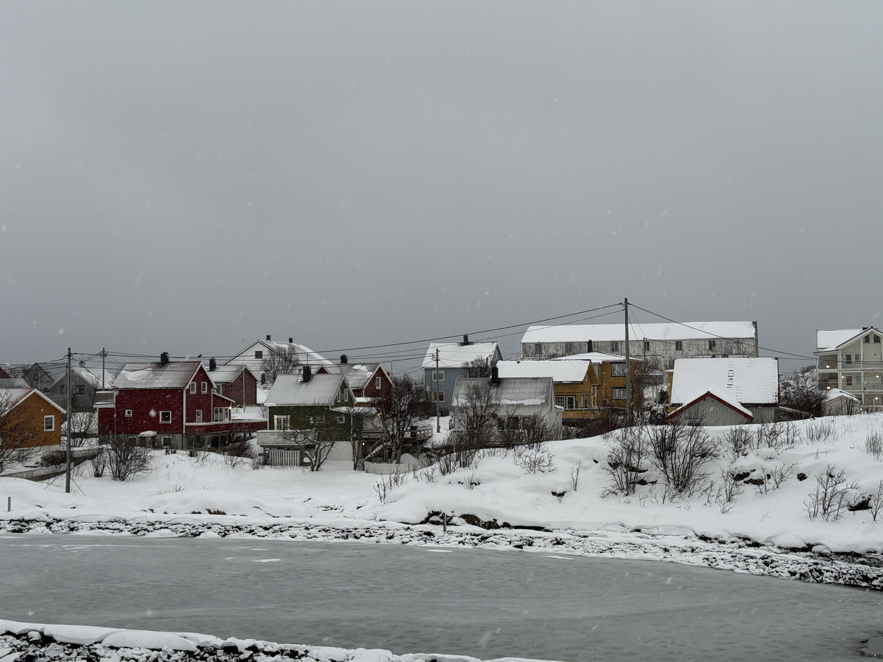 [Immagine: IMG-8576.jpg]