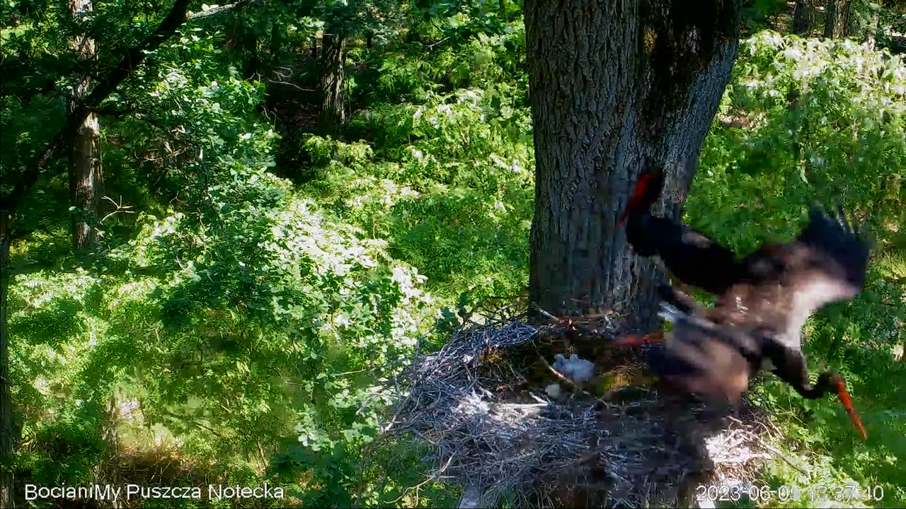 Zrzut ekranu (17340)