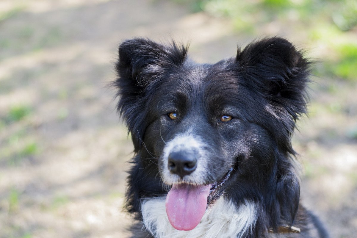 Фортуна_04_19_м10