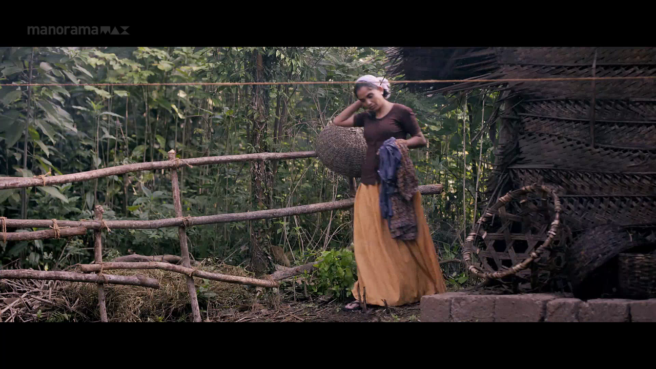 vlcsnap 2026 02 06 18h03m48s966