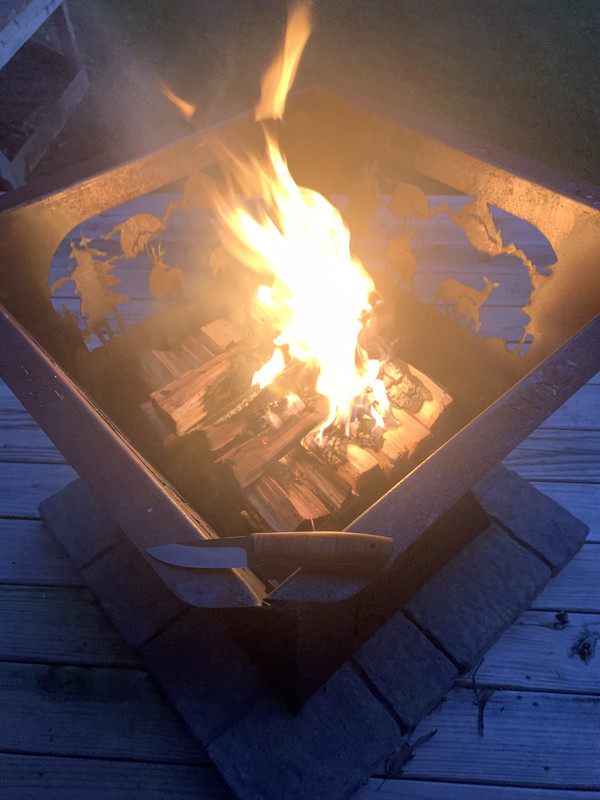 F90DAAB1-7D0F-4FD2-9F72-AD54AFDE9CB8