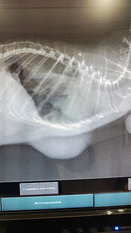 photo_2024-12-16_14-10-50 (4)