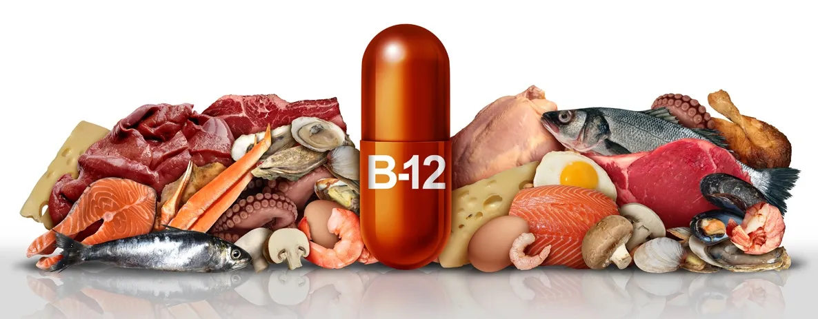 Vitamina B12: Por qué se da y cómo puedo prevenir su deficiencia