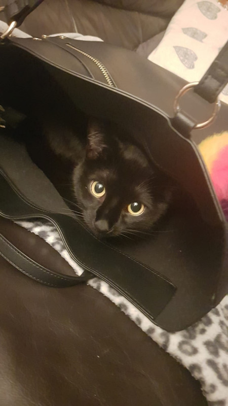 125413051_3773018472709342_4076443808083185866_n