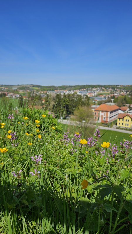 Slika