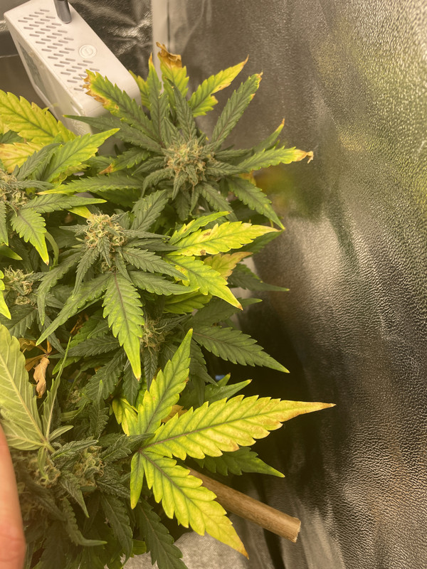 1D12BE62-9BBF-4E28-BBB9-230CF07E0F65