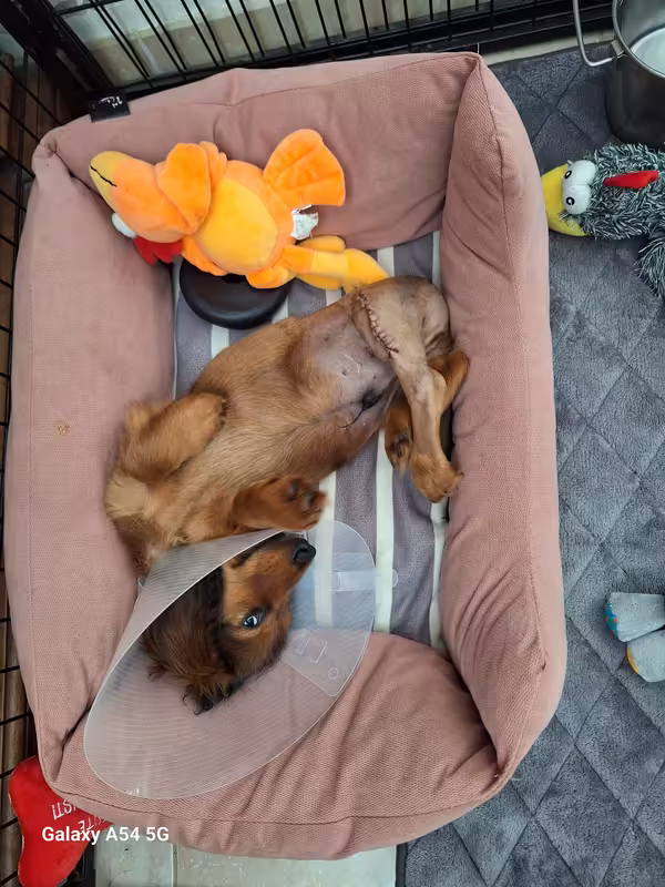 [Image: 20240915-141644-0.avif]