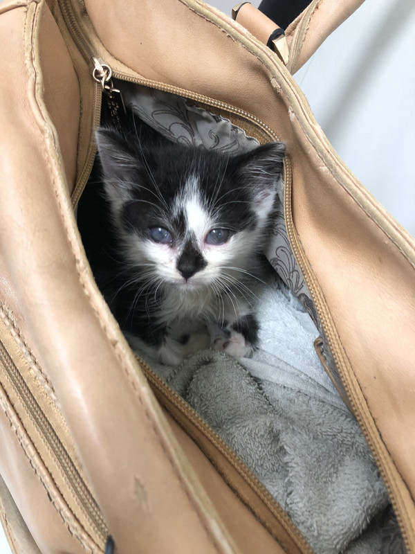 3B2085CB-1577-4FA9-AE77-FCEE44FBE157