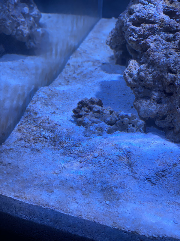 D3001059-648B-45D3-9256-1D32252C9E6D