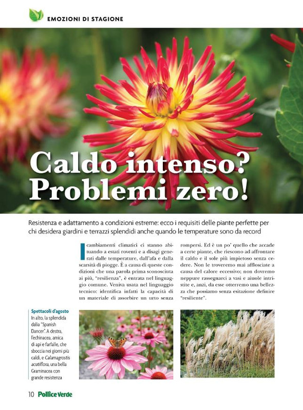 Pol Ver Ago 2023 (1)