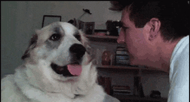 IMG-5730.gif