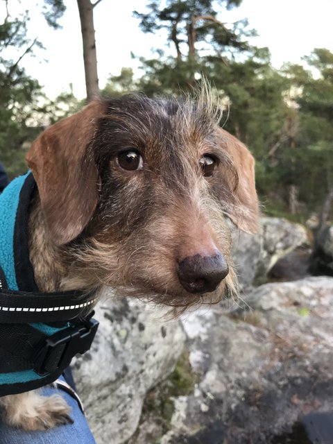 [Image: 58616-C51-80-F0-42-B1-8202-F853316-D6384.jpg]