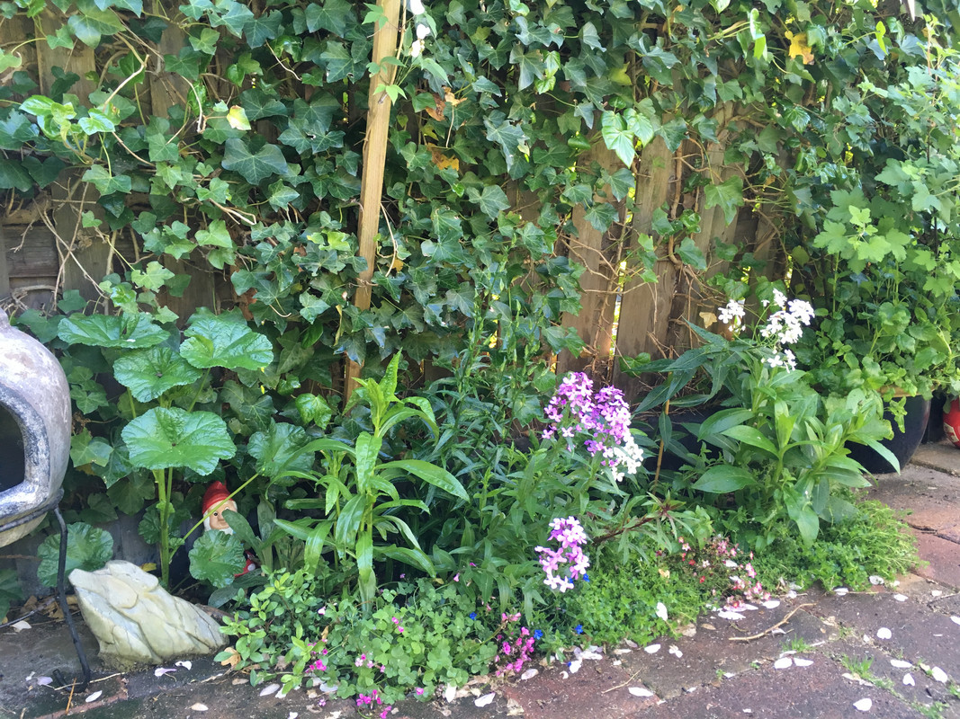 9FBD2276-E14F-4D67-BD0B-497FDFFF8B1F