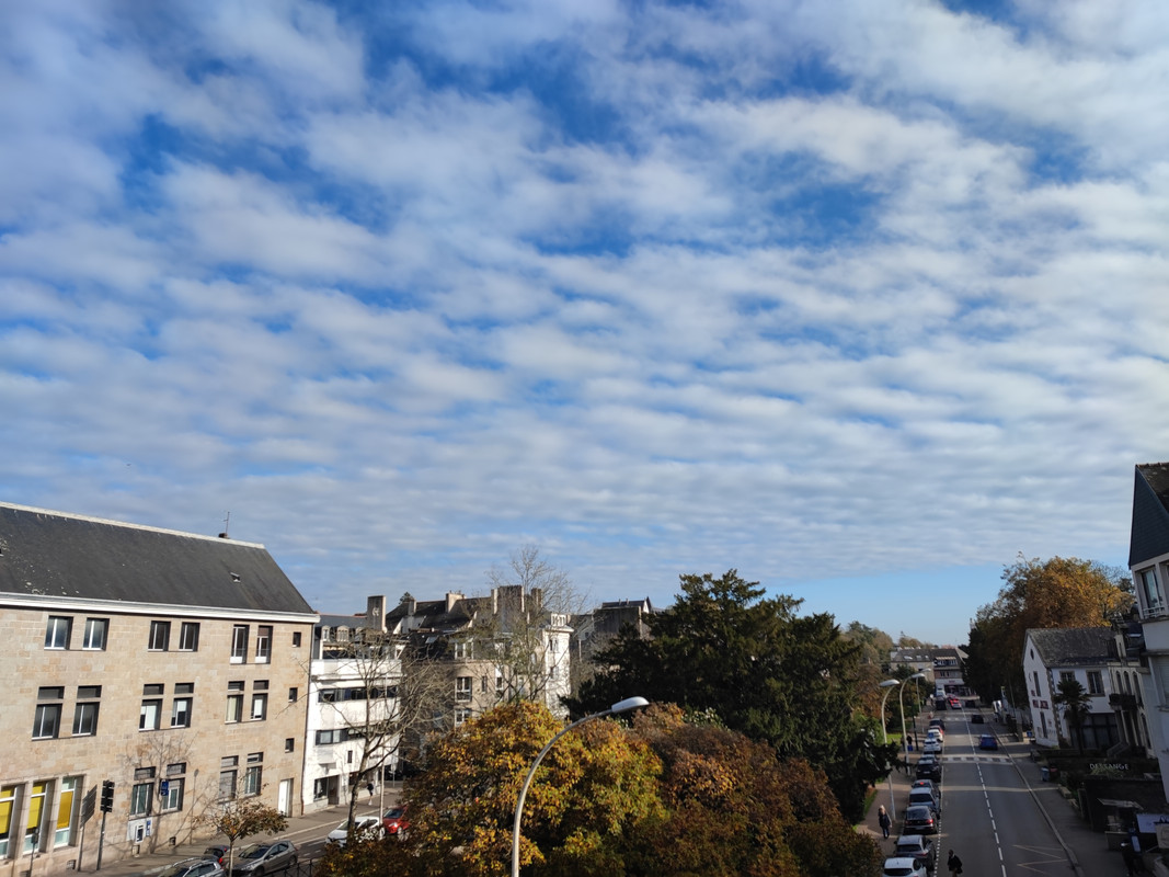IMG-20241106-115102.jpg