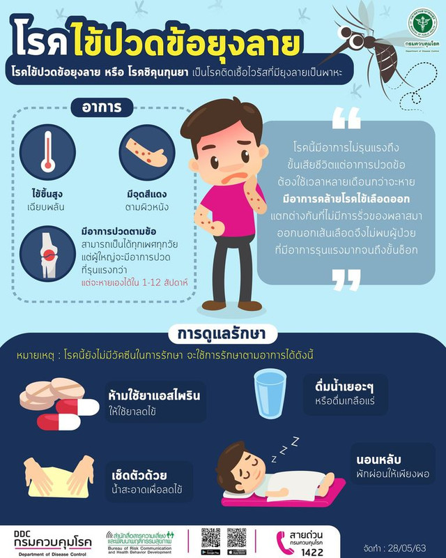 ระวัง !! โรคชิคุนกุนยา หรือ โรคไข้ปวดข้อยุงลาย มียุงลายเป็นพาหะนำโรค