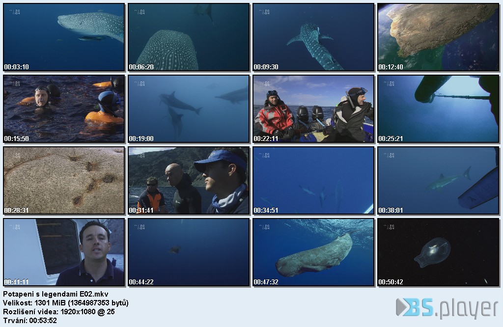 Potápění s legendami / L'odyssée des monstres marins / CZ