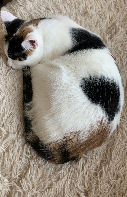 8C3568D2-FD1D-474B-8866-510613DE72C4