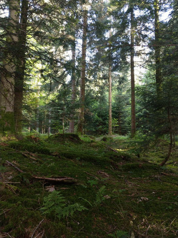 A0473F22-62B6-4F90-8B13-E9DAF57A77AD