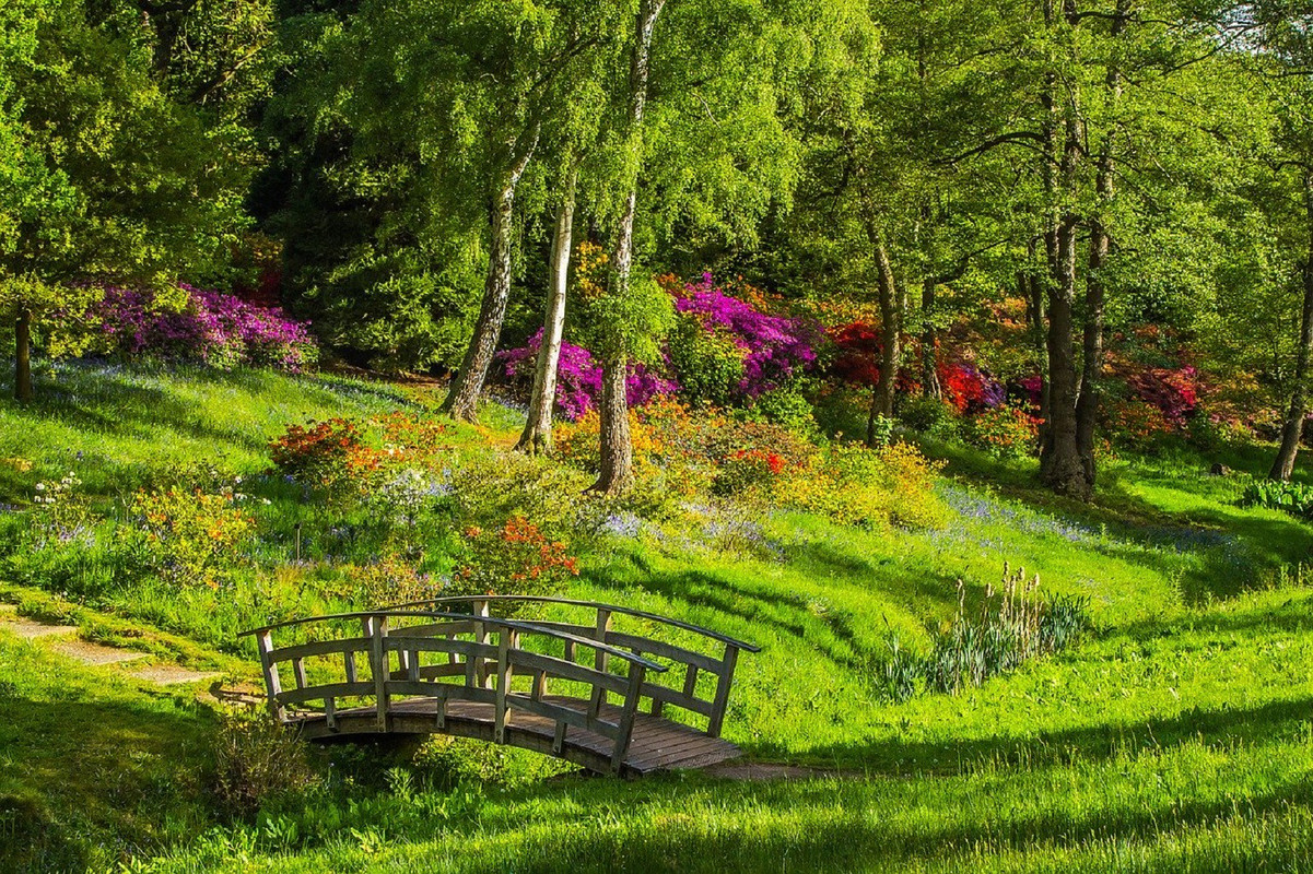 greenlandscapewoodenbridgefrance.jpg