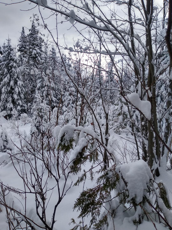 Snow