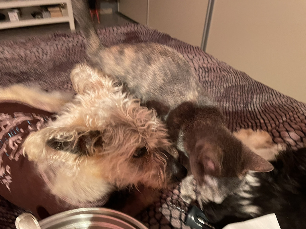 415A189E-52E3-4C22-8512-5599CA92CEBB