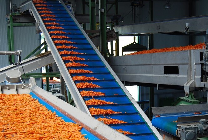 Distribution Conveyor