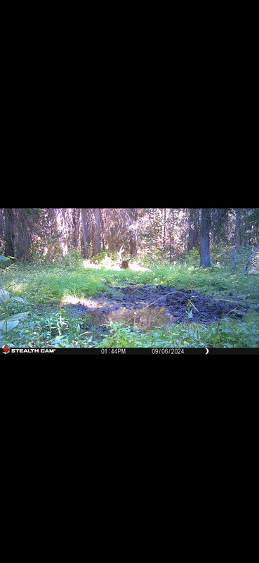 Screenshot_20250619_222633_Gallery