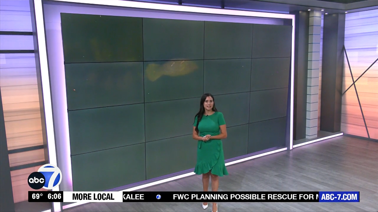Abc7 More In The Morning Wkn 6Am Su 20240317 10001100-1.mp4_snapshot_07.08.854
