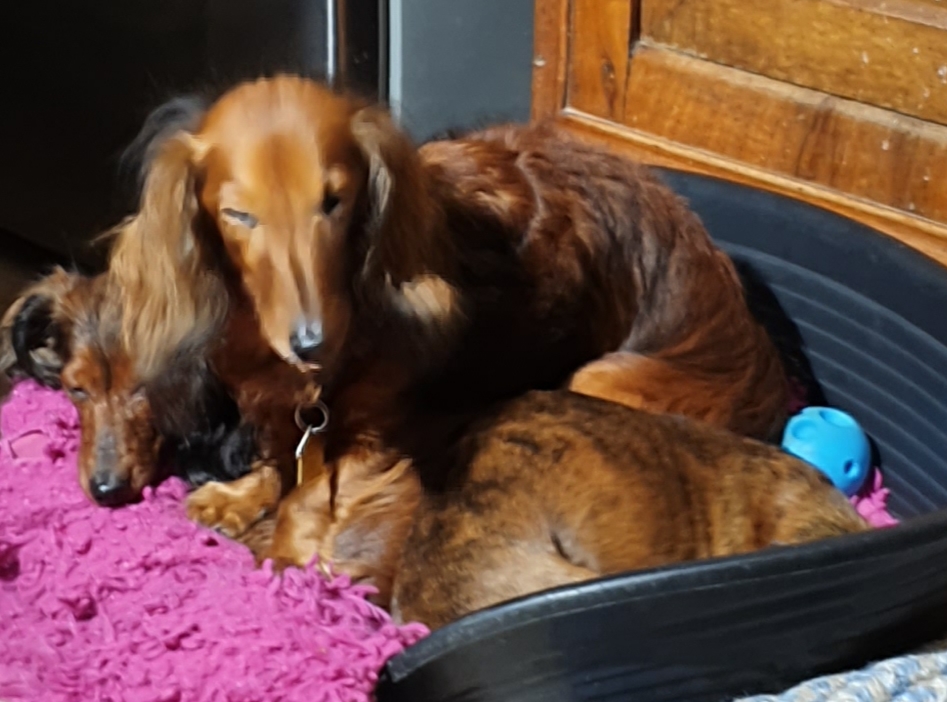 [Image: 20201130-175058.jpg]