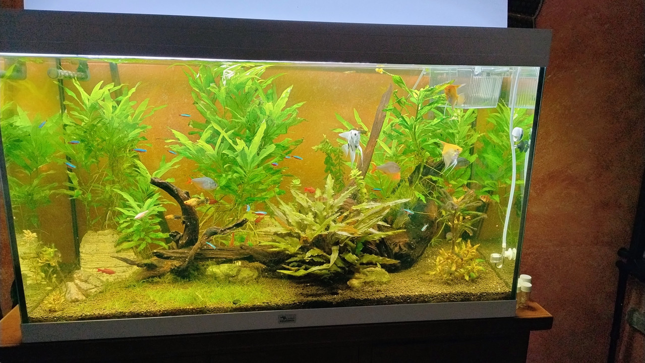 IMG 20260128 190253467 HDR AE