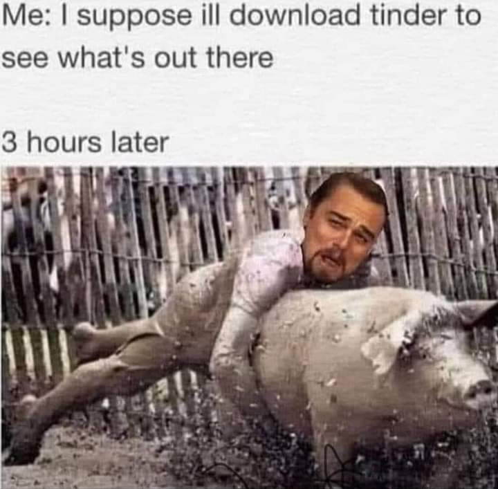 [Image: 455829777-860944852277287-8047843947988584205-n.jpg]