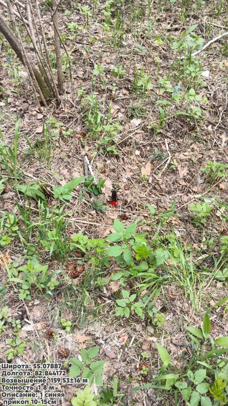 photo 2026 05 16 16 49 33
