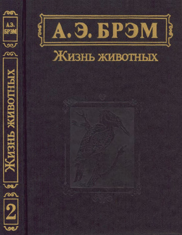 p0001