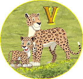 Serie Flia: Madre e Hijo, Los leopardos V