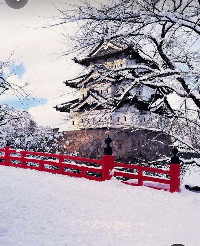 Screenshot_20240120_123524_Pinterest