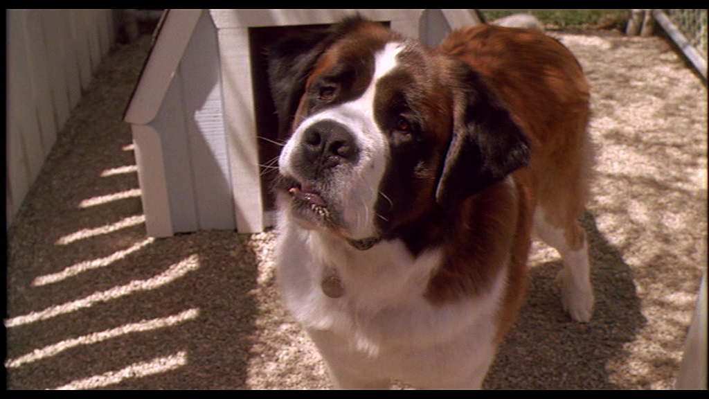 vlcsnap-2015-02-06-02h40m10s148