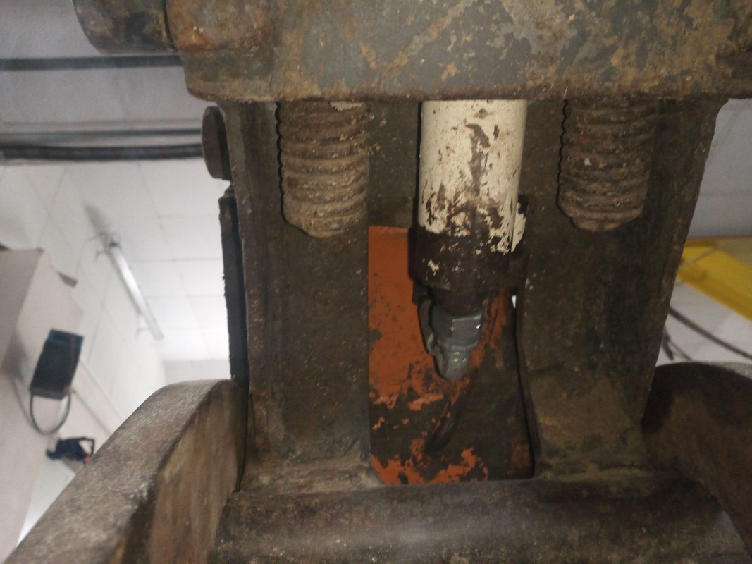 IMG_20241211_093655333