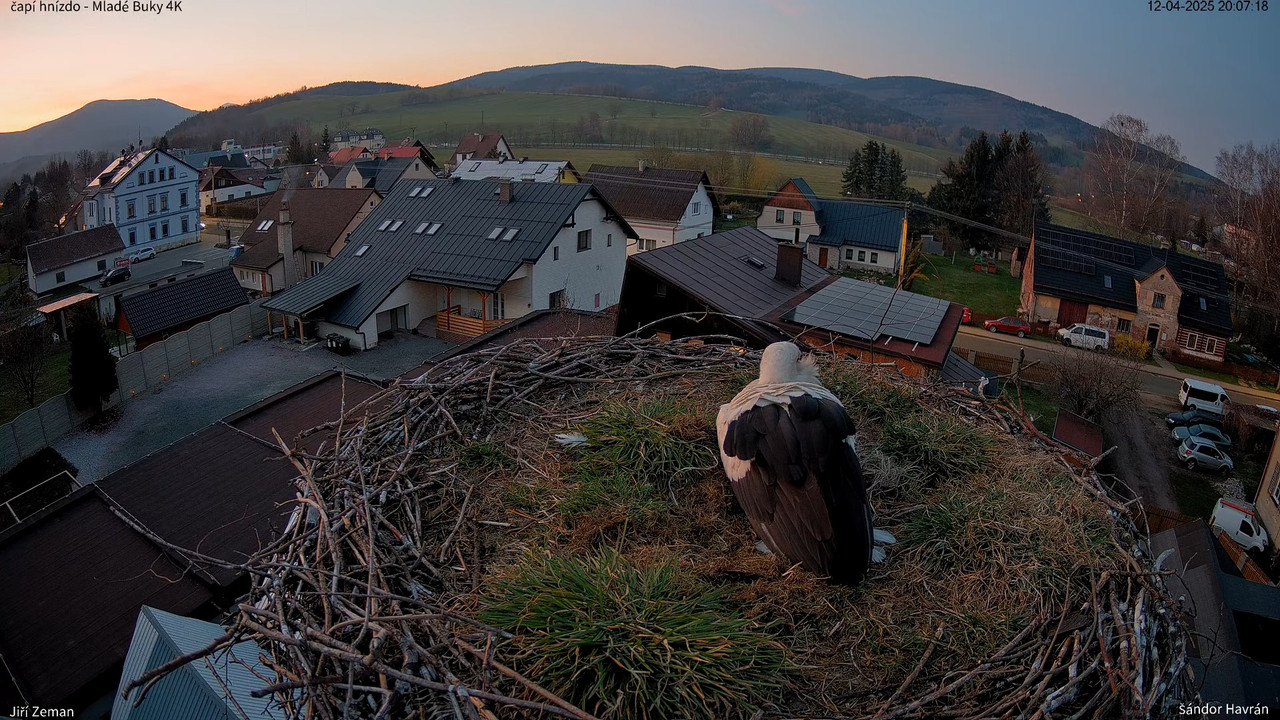 Tiešraides kamera — Mladé Buky — stārķa ligzda 4K 16-27-13 screenshot