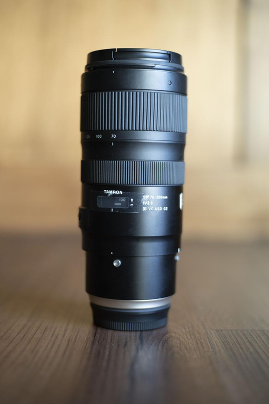 IMAGE: https://i.postimg.cc/BbstfHCn/DSC01091.jpg