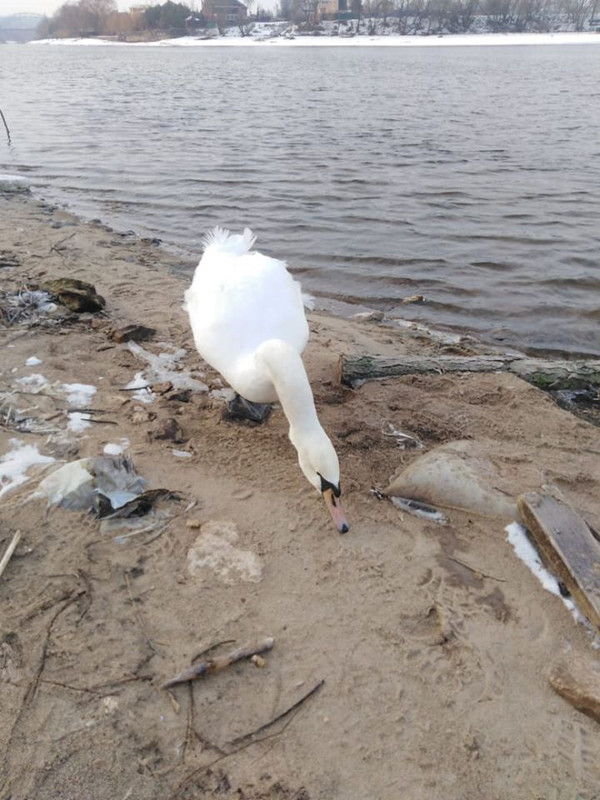 Костин Валерий джиг спиннинг рыбалка приманка для джига видео дж