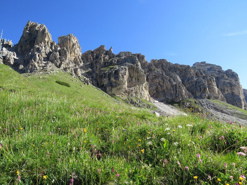 https://i.postimg.cc/BbsxZD92/064-IMG-1134.jpg