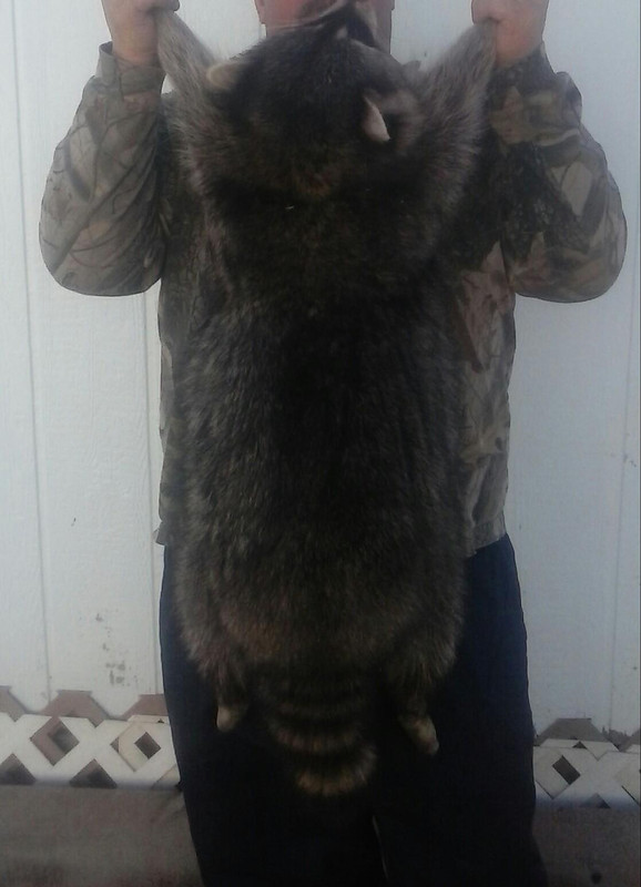 925A1357-9E69-47F1-B9B4-E96AAEF5B930