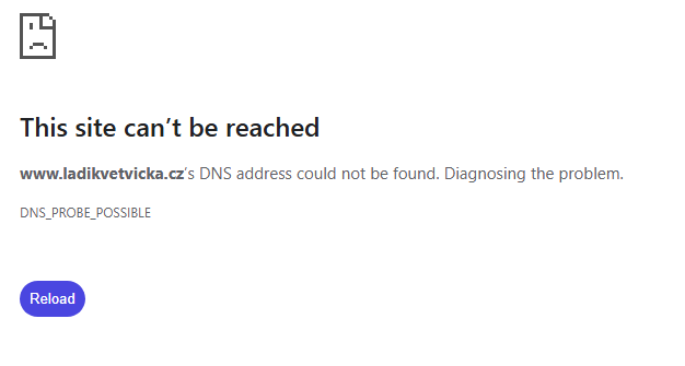 brave screenshot www ladikvetvicka cz