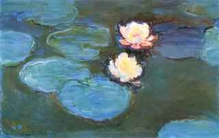 water lillies