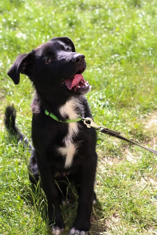 294830657_458334245870010_8030810540939750080_n (1)