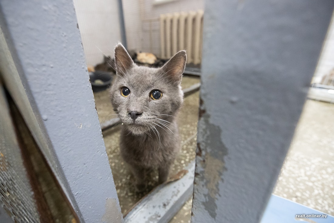 EB97926B-ECFC-471B-8BD6-0C7EE2B39B0D